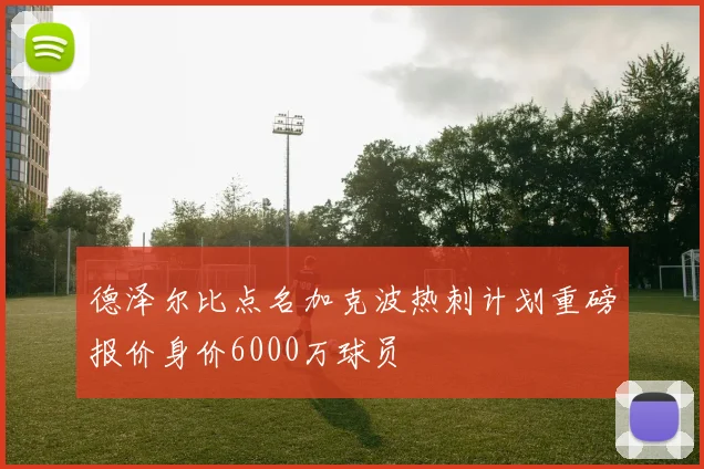 德泽尔比点名加克波热刺计划重磅报价身价6000万球员